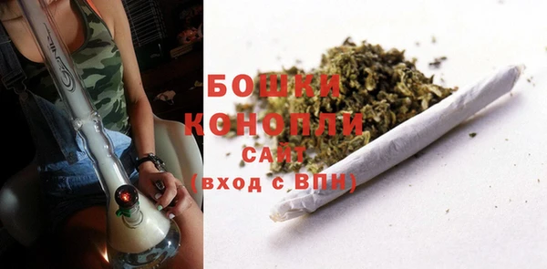тгк Белокуриха